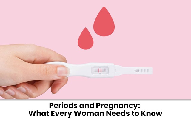 Understanding Periods, Ovulation, and Pregnancy: A Complete Guide for Women