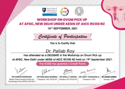 2021 Certificate 17