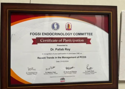 2024 Certificate 2
