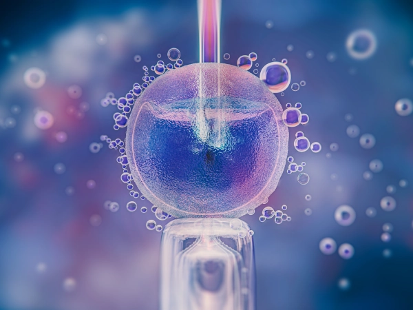 IVF